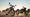 Motorcycle Monday: Kawasaki Goes Retro Again