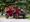 1904 Winton 20hp Rear-Entrance Tonneau Is A Brass Era Tourer
