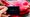 Tesla App Malfunction Strands Drivers
