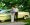 Man Looking For Grandfather's 1959 Impala
