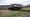 How About A Junkyard Rally Race In A Cornfield?