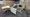 NHTSA Gets More Aggressive With Car Black Boxes