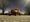 Trucks From The Dave Ferro Collection Featured At Carlisle Auctions Fall Sale