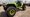 Prototype Jeep Is The Hellcat You Really Wanted