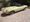 This Jaguar E-Type is the Purr-fect Winter Project and It is Selling This Weekend