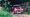 Cheap classic Minis – should you do it?