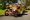 This Electric Ford Model T is the Talk of the Auction World
