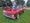 Classic Chevy Trucks Will Be Featured at Specialty Auto Auction