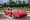 Legendary 1957 Ferrari 335 S Triumphs at 2024 Salon Privé Concours