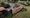 Rare 1967 Ford Mustang Found After 40 Years: A Hidden Treasure