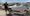 David Freiburger Unearths Hidden Junkyard Packed With Muscle Cars and Classics