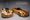 VIN 001 and 002 Hurst Dodge Vipers Head to Auction as Matched Pair