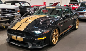 The History of the Hertz Shelby Mustangs at GAA This Weekend