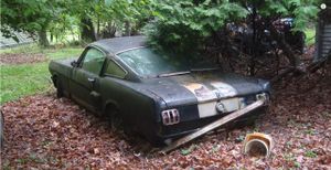 1966 Shelby GT350H Abandoned In Yard Finally Rescued