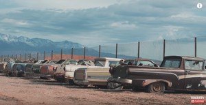 Bodyshop Leftover ‘Barn Finds’ Sprawl 20 Acres