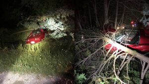 1974 Corvette Driver Critically Injured In Tree Crash