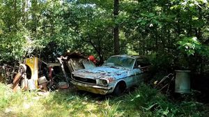 Watch An Abandoned 1966 Mustang Arise From Its Grave