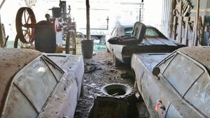 Barn Find Mopars Discovered