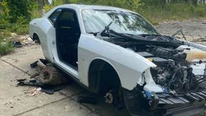 2021: Car Thefts Gone Wild