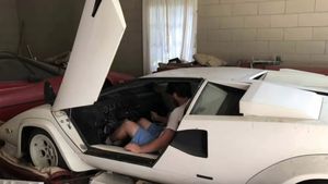 2021: Weirdest Stories of the Year