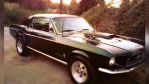 1967 Mustang Stolen From Seattle Shop