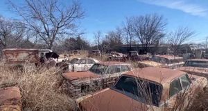 Rotting Classic Cars Will Make You Cry