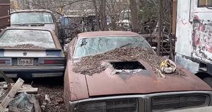 Forest Of Abandoned Muscle Cars Has Uncertain Future