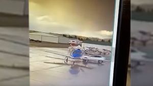 Summoned Tesla Hits Private Jet