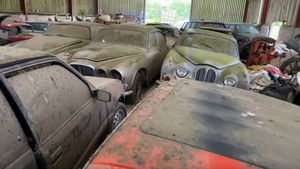 Huge Barn Find Classic Cars Stash Explored