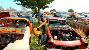 This Muscle Car Junkyard Is Astounding