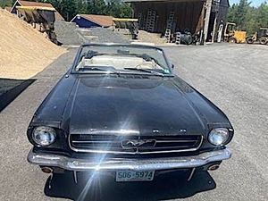 Craigslist Mustang Survivor Is ‘Barn Fresh’