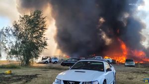 Fire Destroys Washington Man’s Car Collection