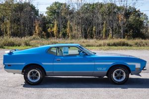 Carlisle Auctions Has A Herd Of Mustangs