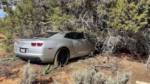 Camaro Smacks Into Tree At 120 MPH