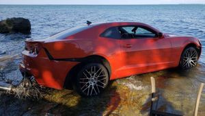 Carfax Issues A Dire Warning