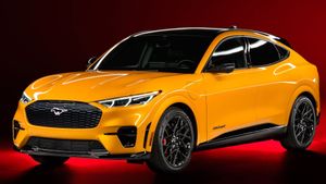 Ford Shines In Backseat Test