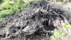 That Time Someone Found A Daimler Buried In Their English Garden