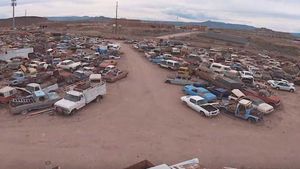 Bodyshop Leftover ‘Barn Finds’ Sprawl 20 Acres