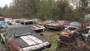 Lay Eyes On This Huge American Muscle Car Barn Find