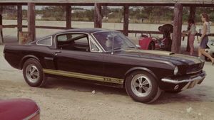 This Shelby GT350H Is The Coolest Rental Car Of All-Time