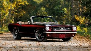 The 'UNCAGED' Mustang