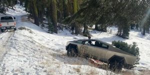 Tesla Cybertruck Off-Road Struggle Prompts US Forest Service Warning