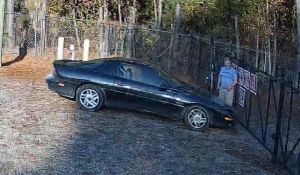 Camaro Driver Steals Mustang
