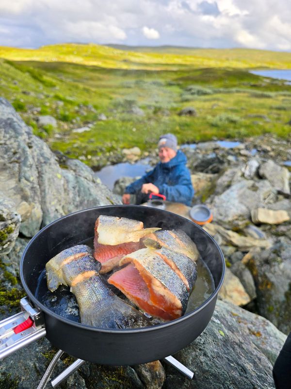 En fantastisk tur i Børgefjell!