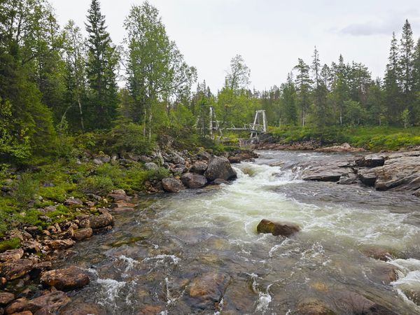 2025 September - Månedens Video