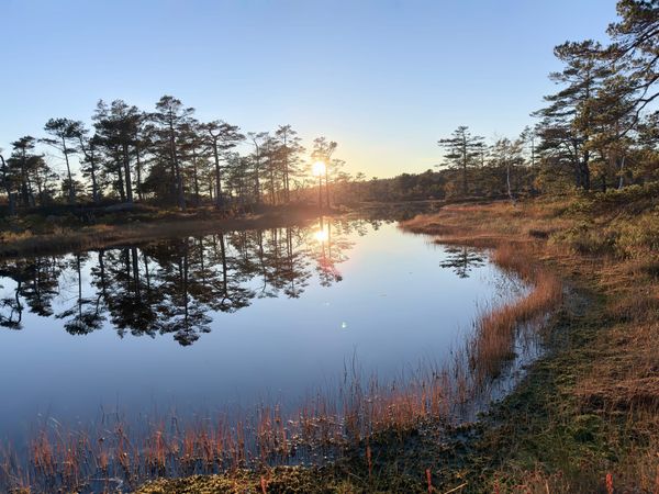 Olandshei i slutten av september.
