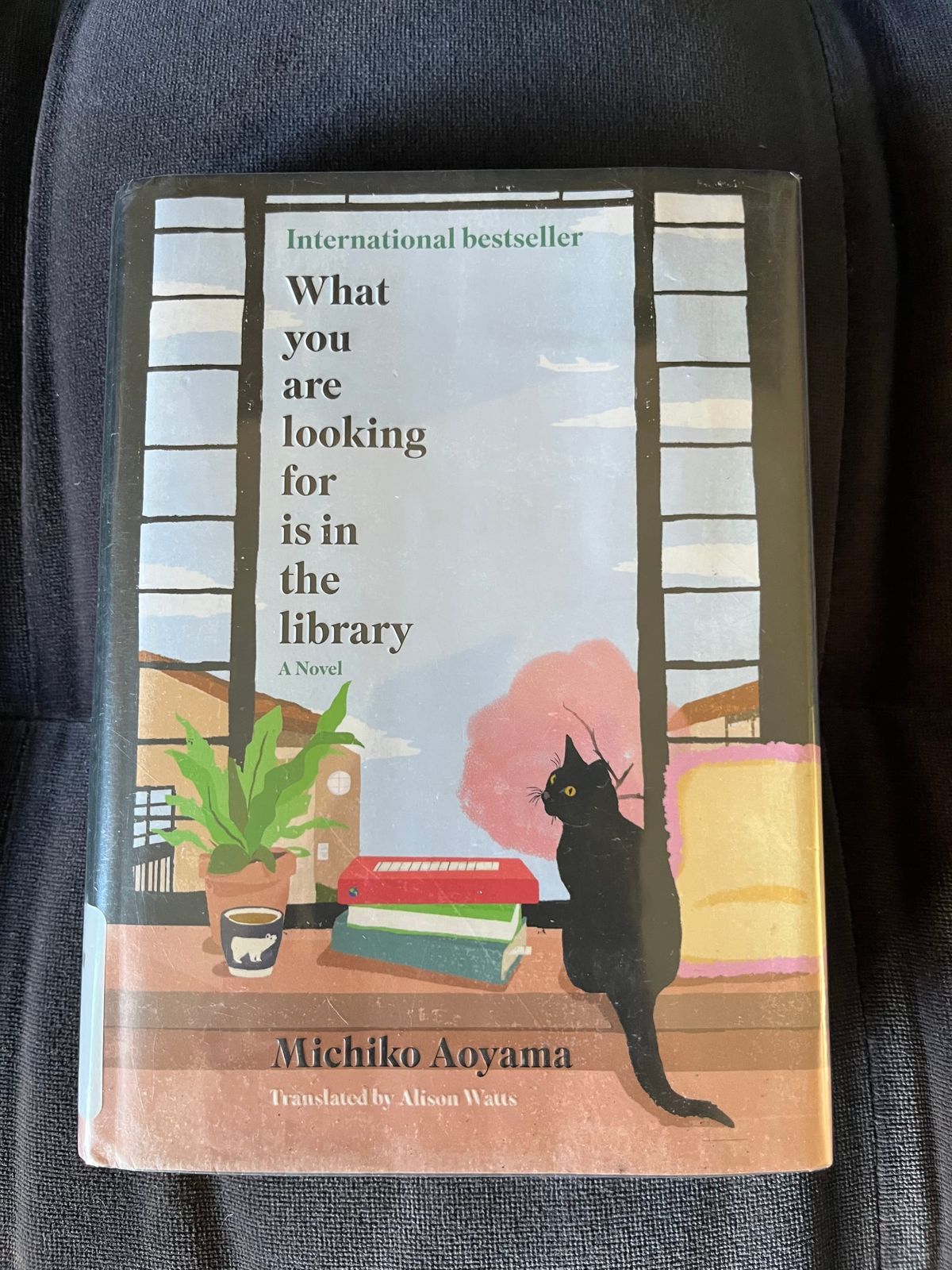 In Praise of ... LIBRARIES!