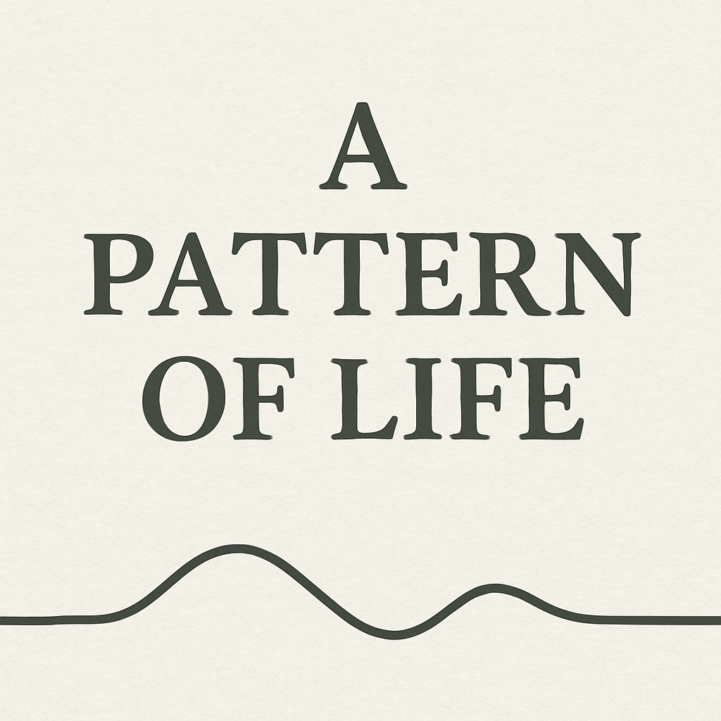 A Pattern of Life