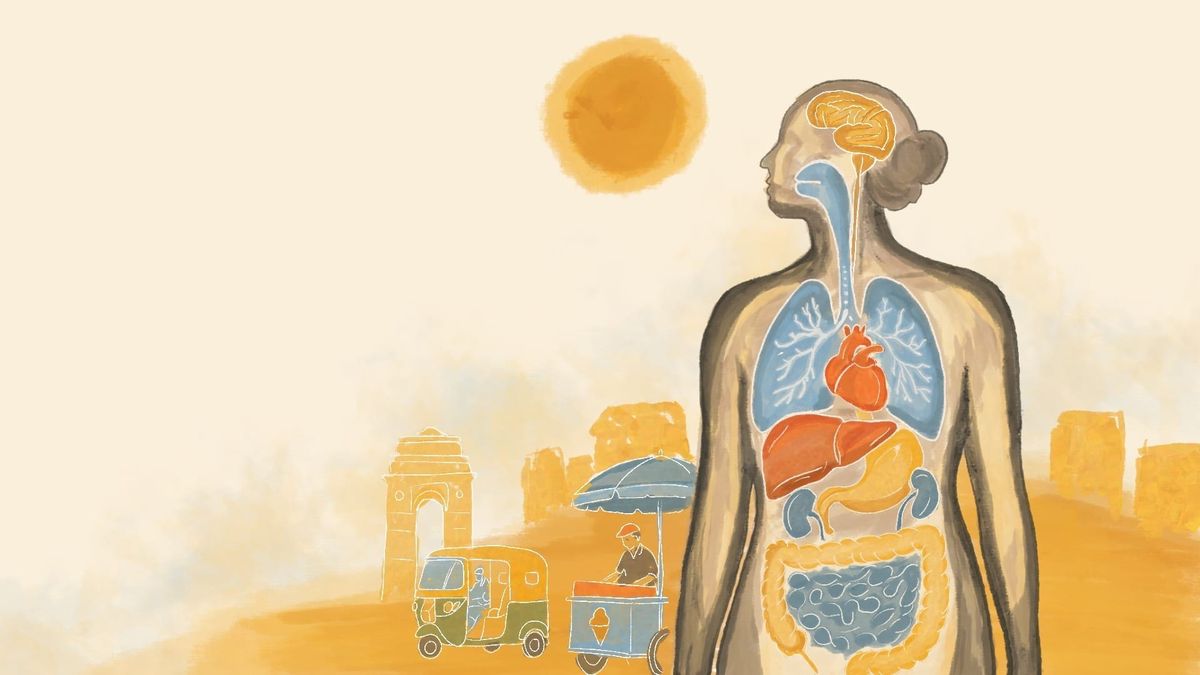 Rising Heat in Asia: The Toll it Takes on Your Organs