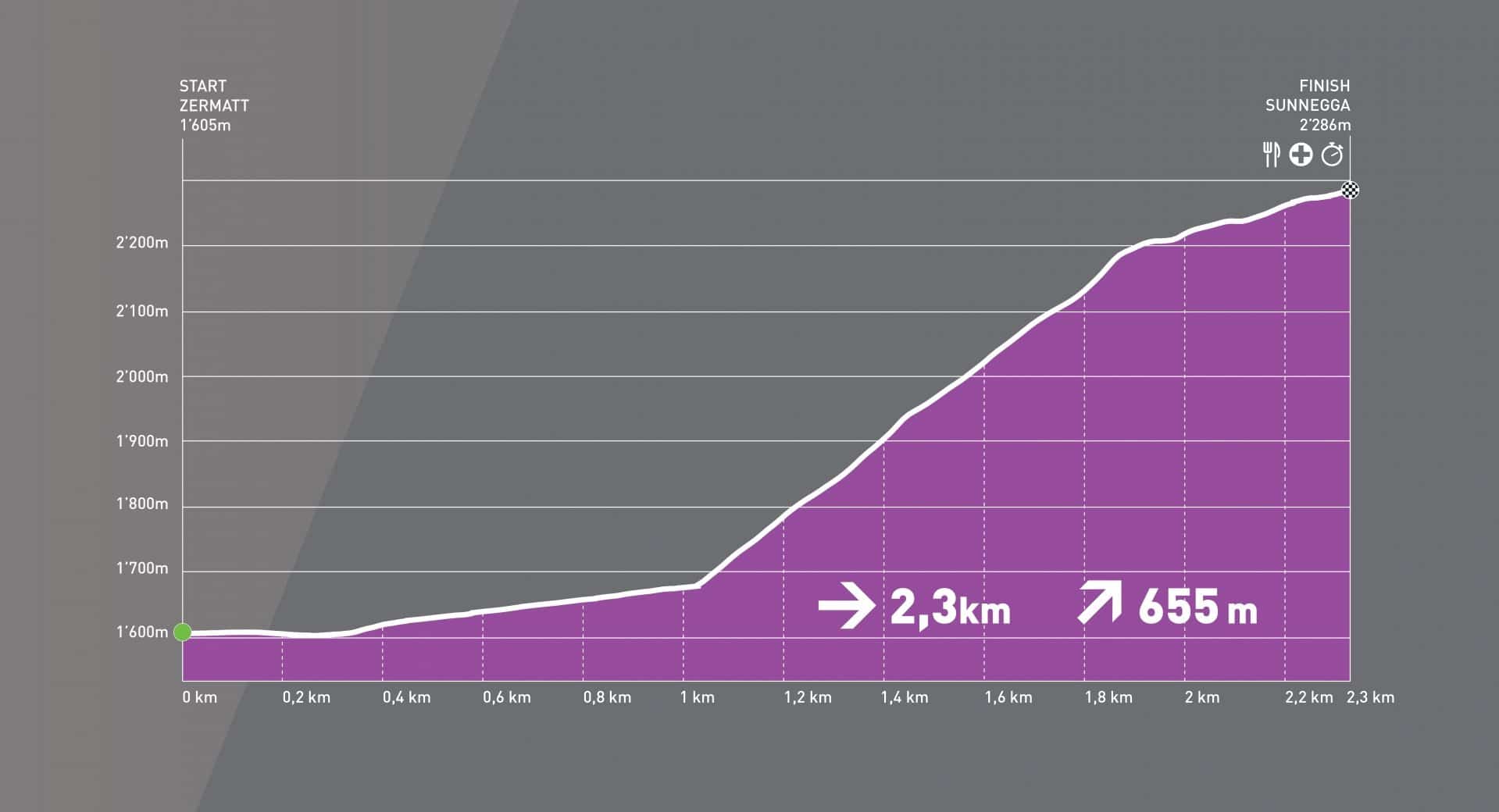 2017 p vzs web color
